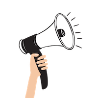 ccyp ambassador program